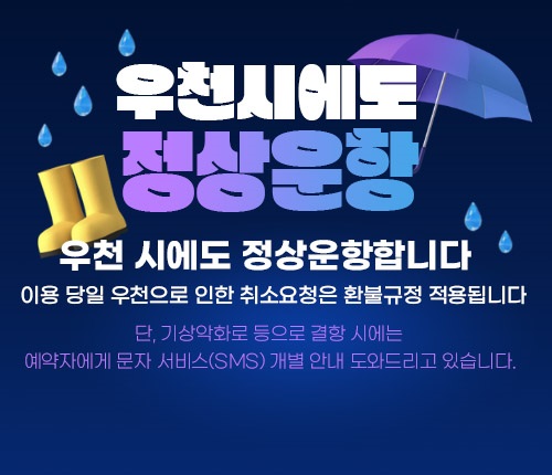 우천시운항