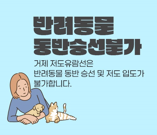 반려동물